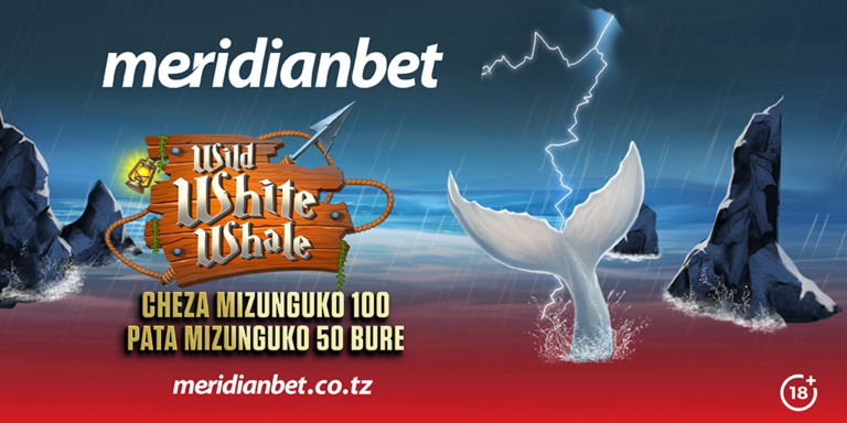 Cheza Wild White Whale, Chukua Udhibiti wa Bahari ya Zawadi